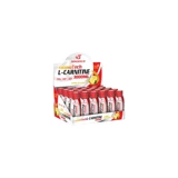 Powertech Thermotech Limon Aromalı L-Karnitin 24 Shot