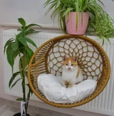 Lepus Olips Model Asmalı Petek Kedi ve Küçük Irk Köpek Yatağı Koyu Gri 43x48 Cm