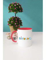 Hedizu Biyolog Kupa Bardak Kırmızı - 1 Adet - 300 ml