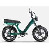 Ryder Ape Ryder MD10 250 W 80 Km Menzil 7 Vites Elektrikli Şehir / Tur Bisiklet Yeşil