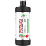 Torq Nutrition Çilek Aromalı L-Karnitin 1000 ml Sıvı