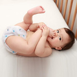 Sevi Bebe 15-20 kg 4'lü Sızdırmayan Yıkanabilir Ahtapot-Balık-Kaplumbağa Desenli Alıştırma Külodu