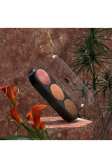 Estella Terracotta 01 Işıltılı Toz Allık Paleti