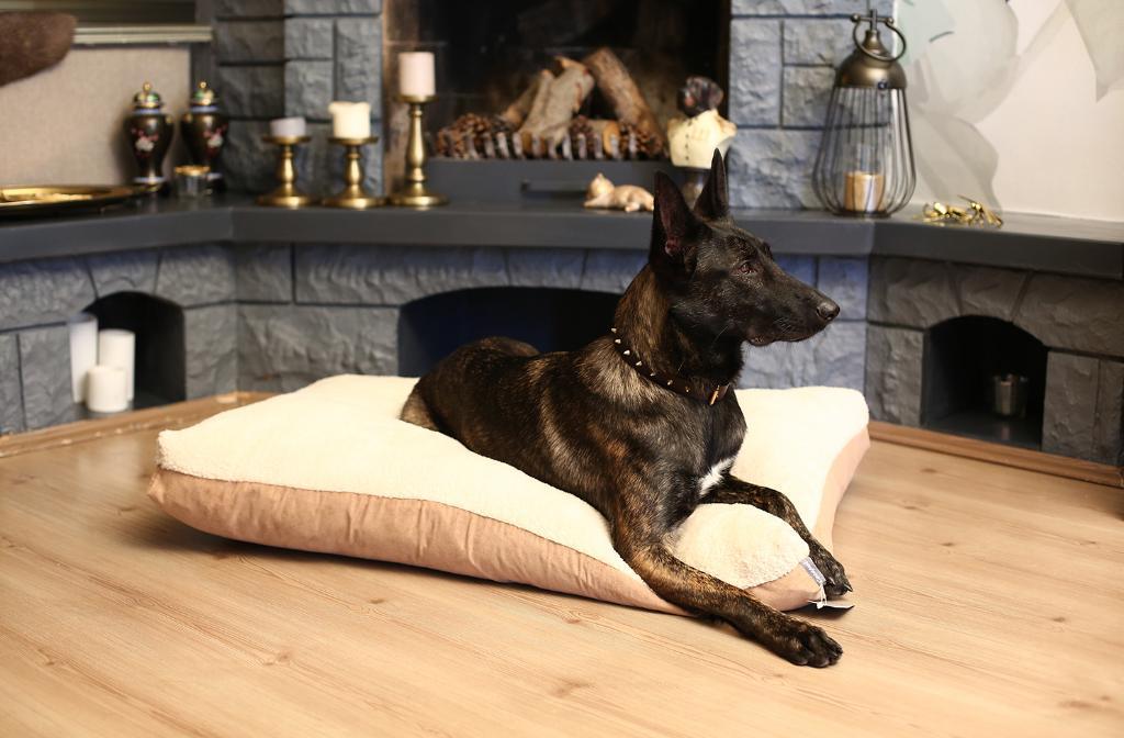 CecePet Mıu Büyük Irk İç Mekan Köpek Yatağı Kahverengi