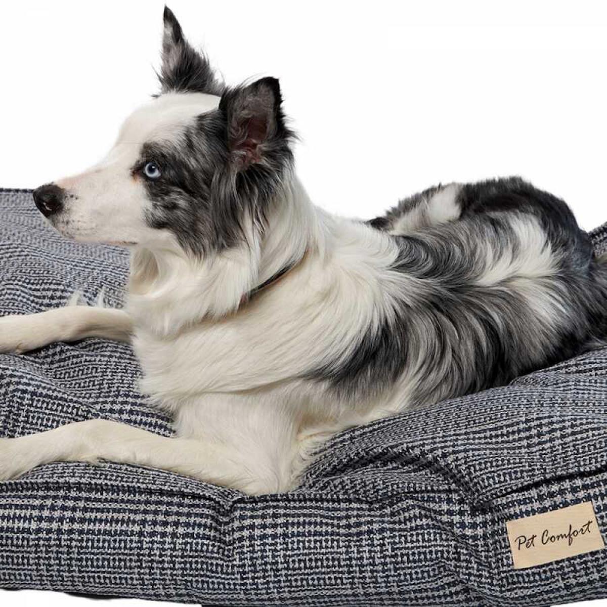 Pet Comfort Orta Irk İç Mekan Köpek Yatağı Siyah