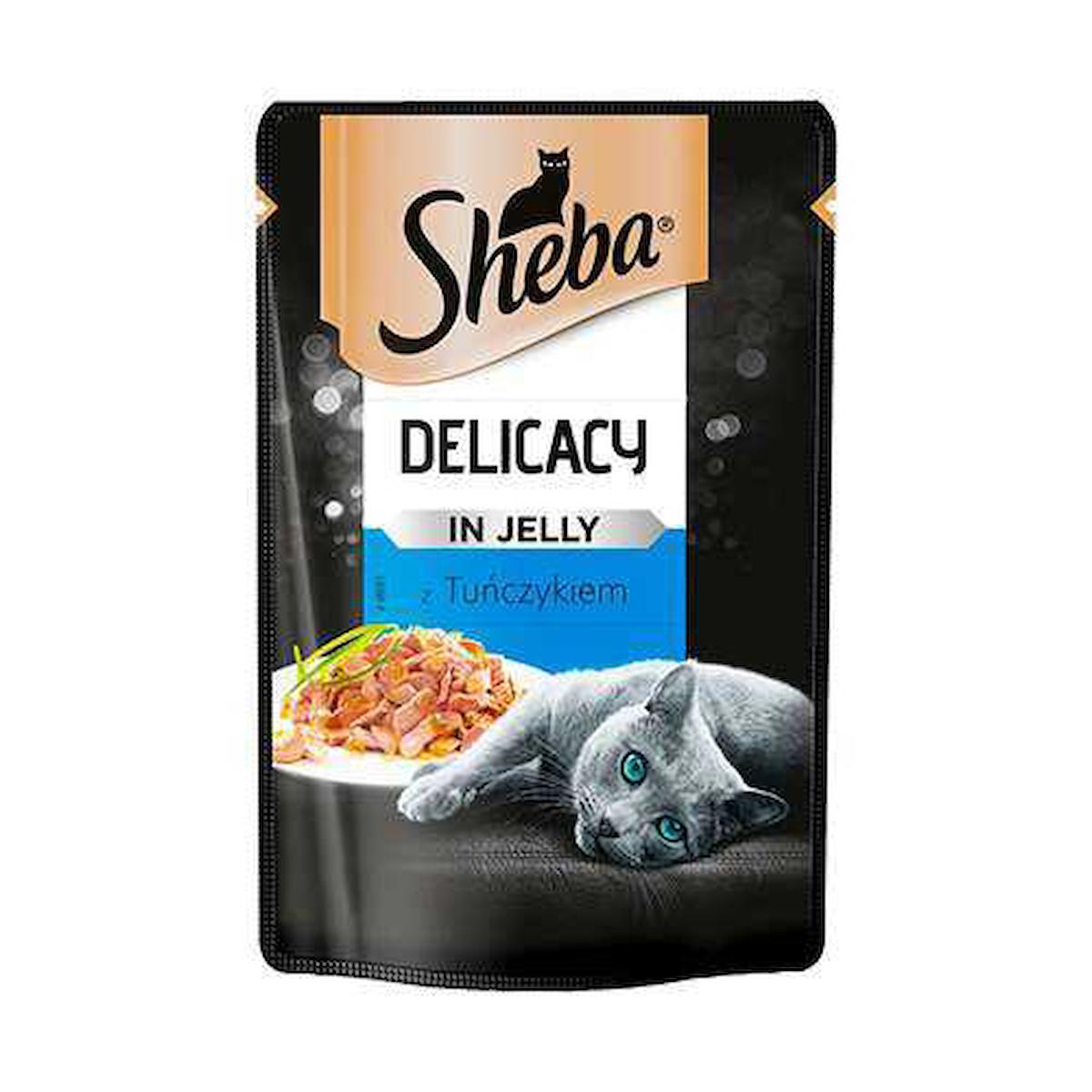 Sheba Delicacy Ton Balıklı Yetişkin Yaş Kedi Maması 85 gr