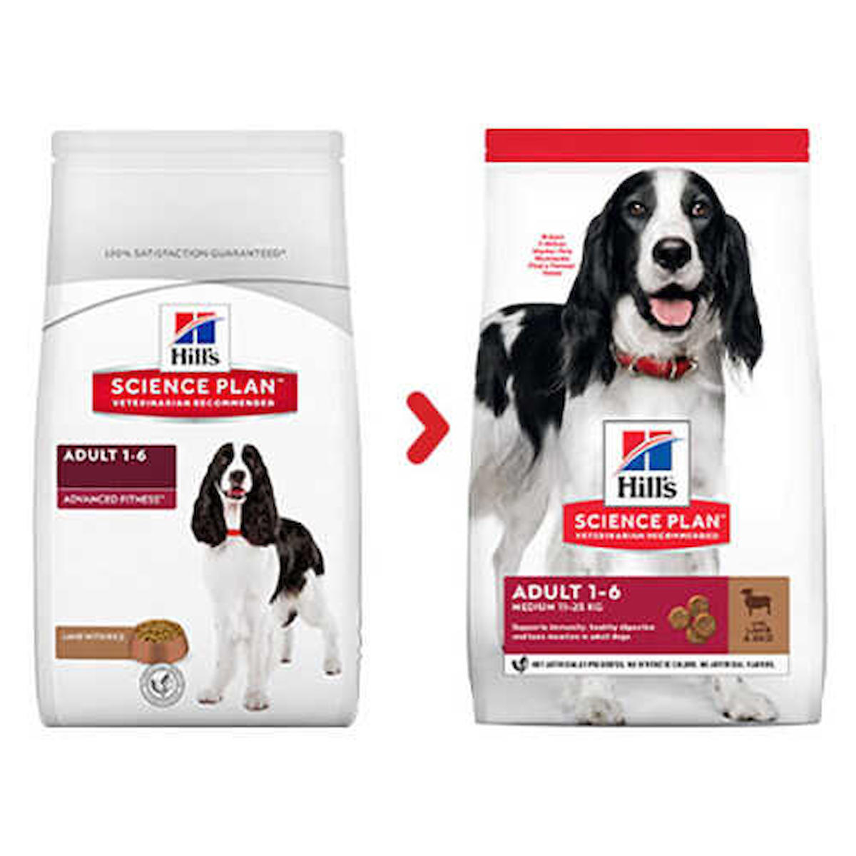 Hill'S Adult -6 Kuzu Etli Orta Irk Yetişkin Kuru Köpek Maması 2.5 kg