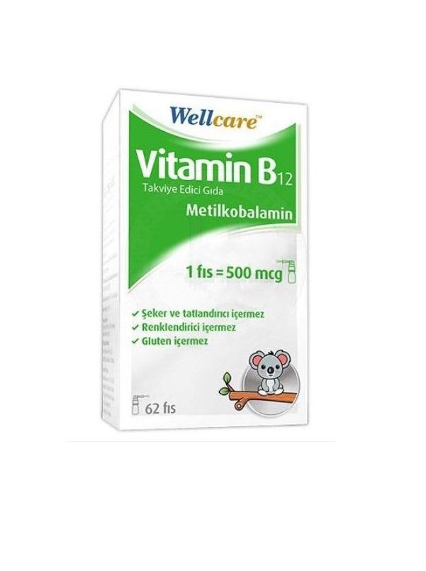 Wellcare 500 mcg Vitamin B12 Sade Unisex 5 ml