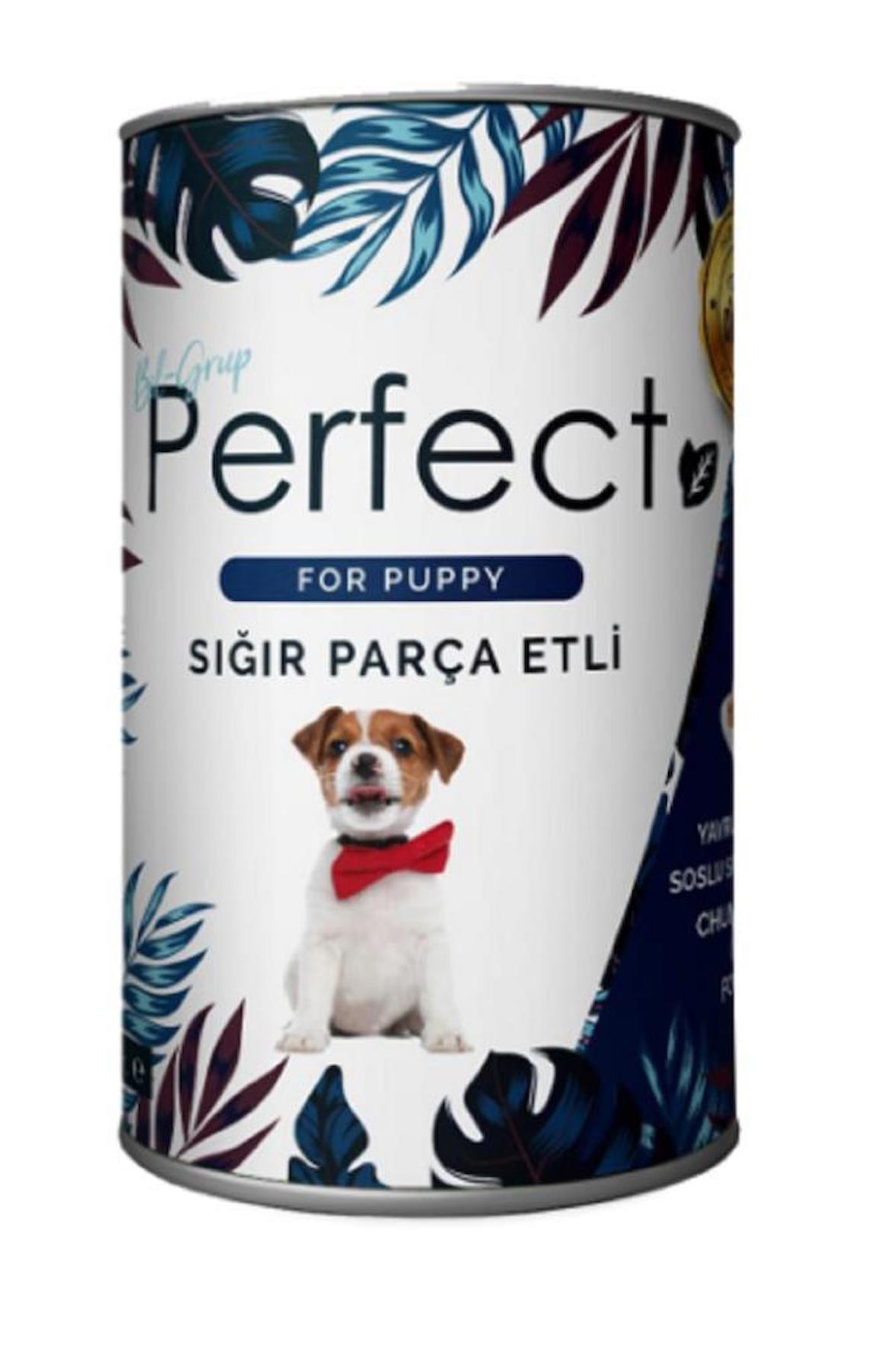 Perfect Sığır Etli Yavru Yaş Köpek Maması 400 gr Tekli