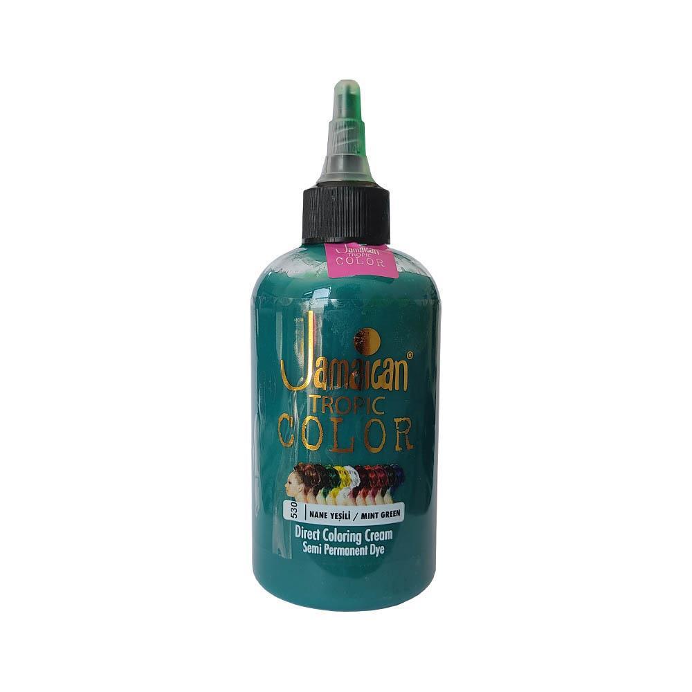 Jeans Color 530 Nane Yeşili Amonyaksız Krem Saç Boyası 250 ml