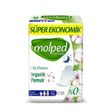 Molped Pure & Soft İnce 16'lı Hijyenik Ped 3 Adet