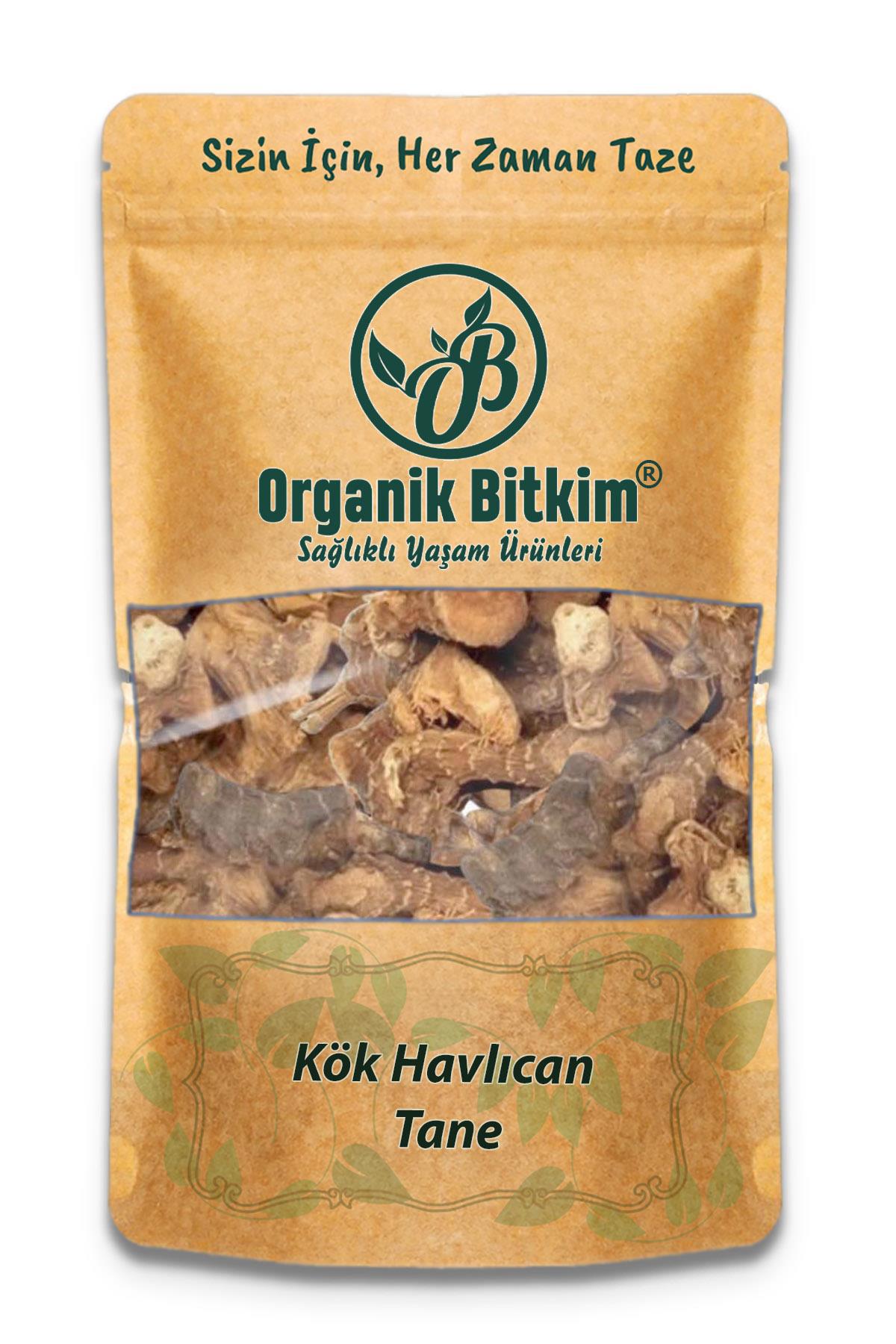 Organik Bitkim Glutensiz Havlucan Kökü Tane 1 kg