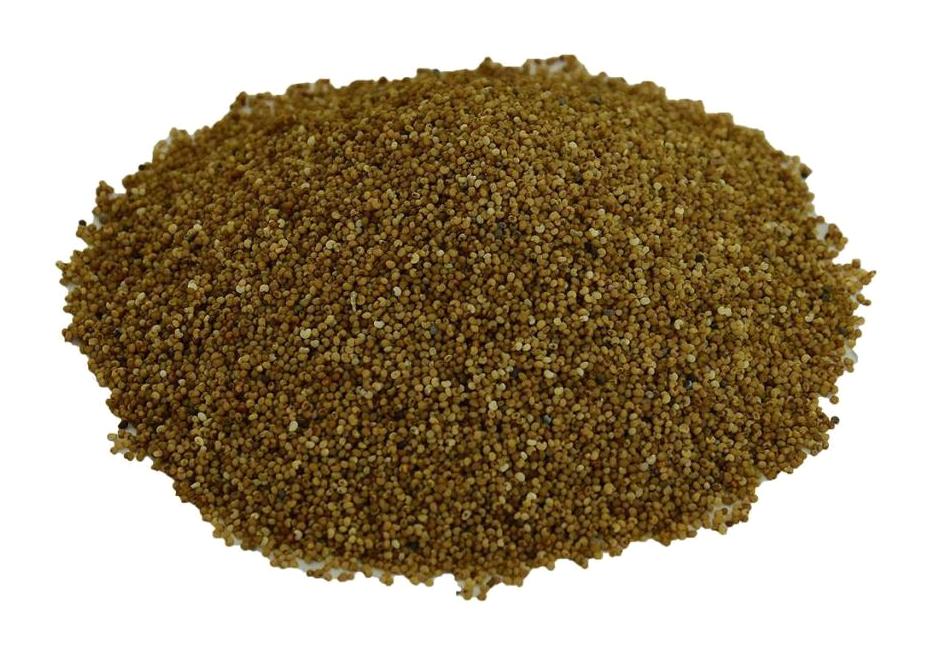 Lokman Avm Doğal Sarı Haşhaş Tane 100 gr