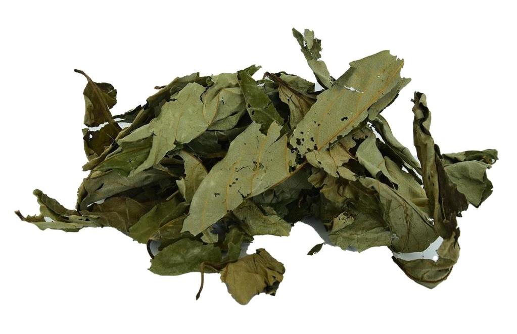 Lokman Avm Vegan Üvez Yaprağı Paket 100 gr
