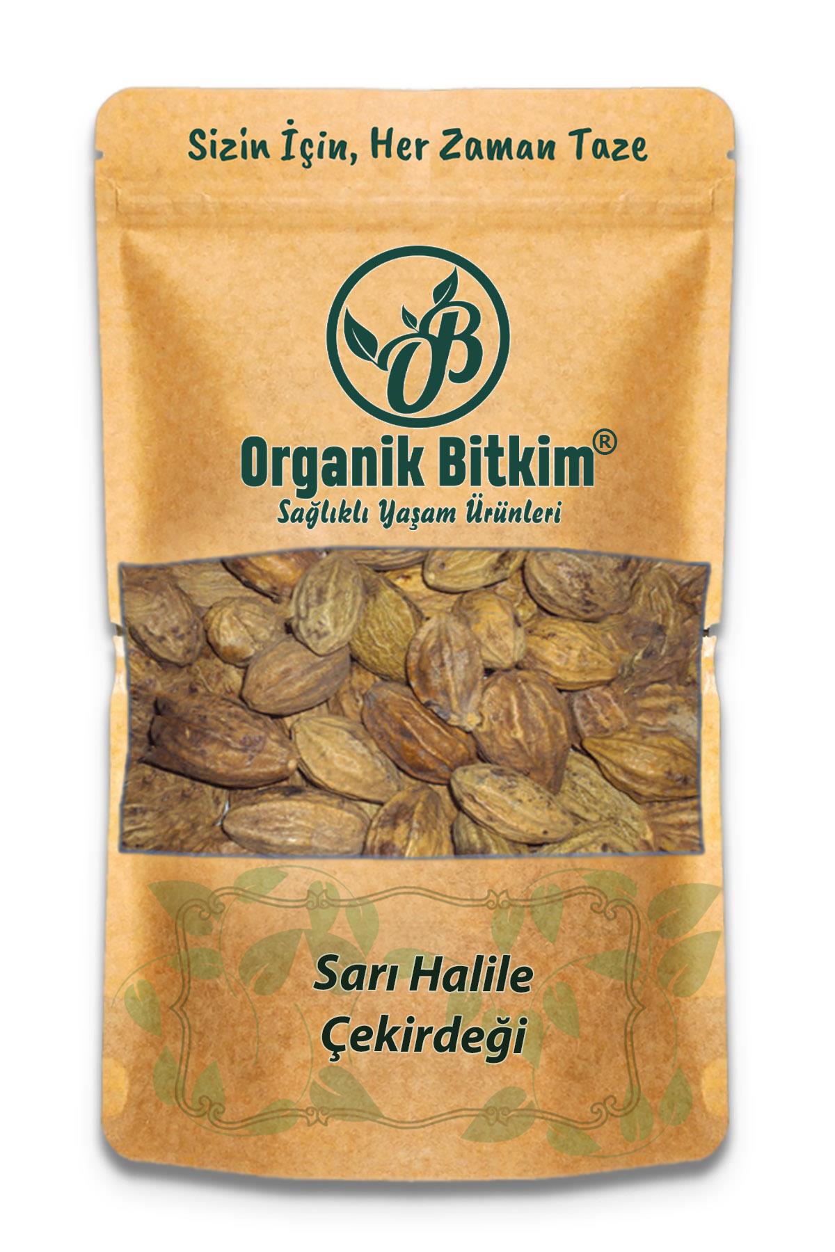 Organik Bitkim Glutensiz Sarı Halile Çekirdeği Tane 1 kg