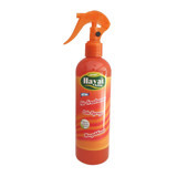 Hayat Mango-Kavun 350 ml
