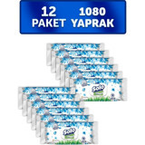 Solo Okyanus Ferahlığı 90 Yaprak 12'li Paket Islak Havlu