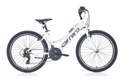 Carraro Speed 242 24 Jant 21 Vites Dağ Bisikleti Pembe