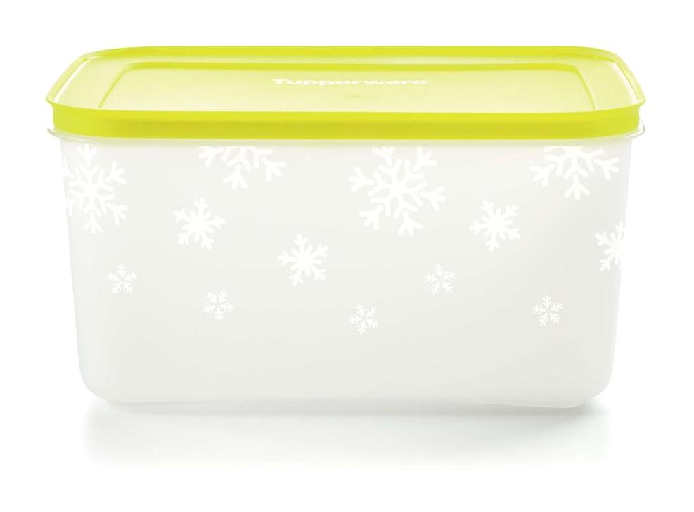 Tupperware 2 Parça Dikdörtgen Plastik Saklama Kabı 2.5 lt