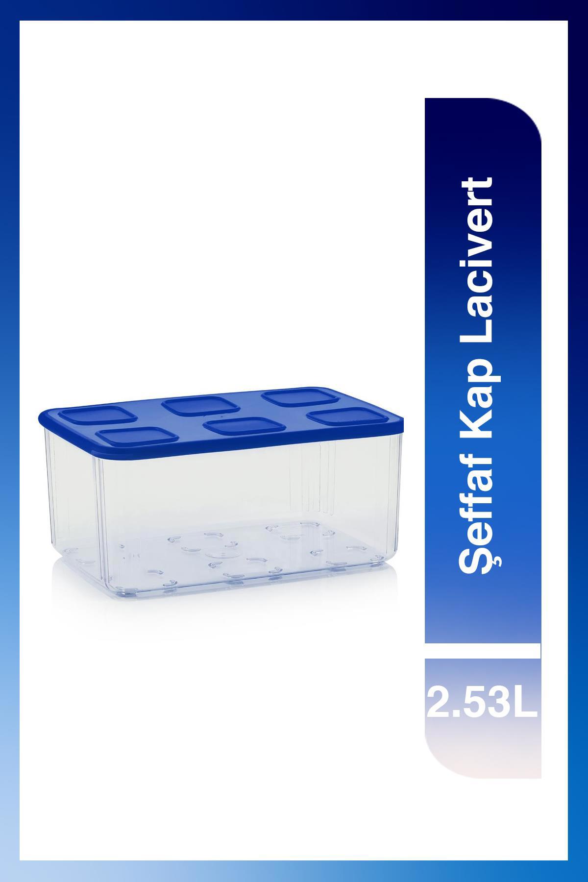 Tupperware 1 Parça Dikdörtgen Plastik Saklama Kabı 2.53 lt