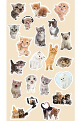 Kedi Sticker Telefon Laptop Notebook Tablet Defter Matara Stiker Etiket ST1243