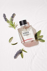 Antonio Sanchez Power Of Seduction EDT Çiçeksi Erkek Parfüm 100 ml