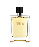 Hermes Terre D'Hermes EDT Çiçeksi Erkek Parfüm 100 ml