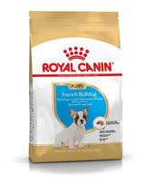 Royal Canin French Bulldog Yavru Kuru Köpek Maması 3 kg