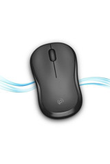 Polosmart 11 Sessiz Yatay Kablosuz Siyah Optik Mouse
