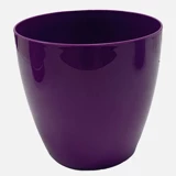 Üçsan Begonya Saksı Mor 2,2lt