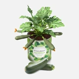 Konserve Bahçem Kabak Fide Yetiştirme Kiti