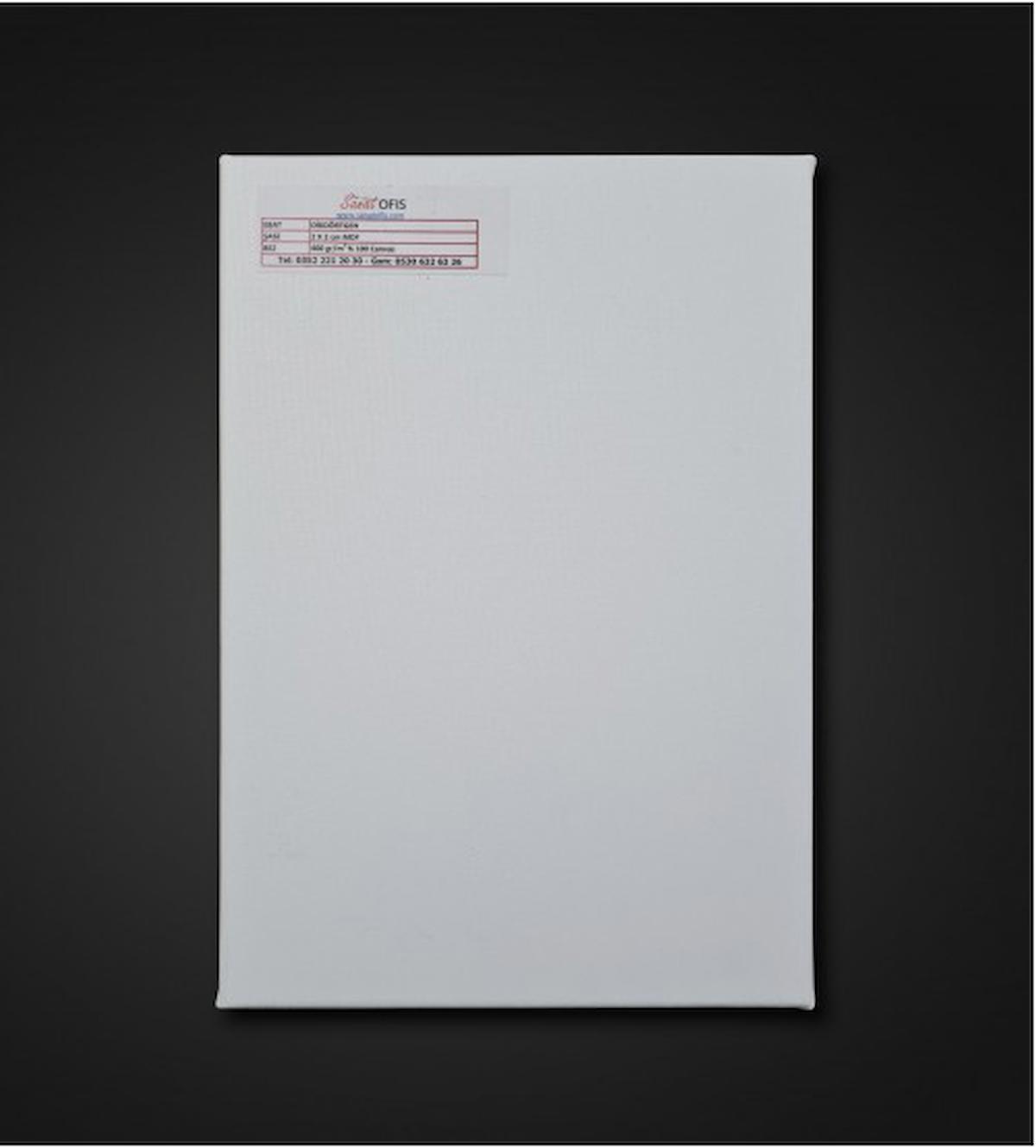 Sanatofis 60x90 cm Standart Şase Profesyonel Tuval