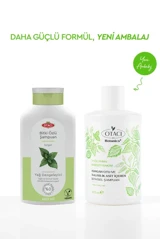 Otacı Botanics Yağlanma Karşıtı Bakım Isırgan Otu Ve Salisilik Asit İçeren Bitkisel Şampuan 375 Ml
