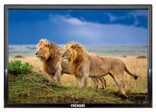 Rose CM-119 19 inç Hd Ready 48 Ekran Flat Led Televizyon