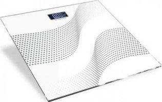 Microstar MSR-3900 Cam Dijital Tartı