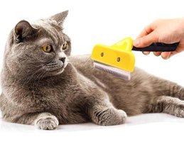 Sildne Kedi + Köpek Tüy Toplayıcı Bakım Tarağı 7 Cm