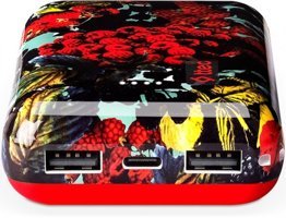 Ttec ArtPower 10000 mAh Hızlı Şarj USB & Type C Çoklu Kablolu Powerbank Kırmızı