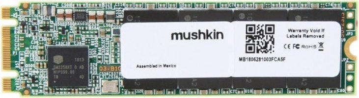 Mushkin Enhanced Source MKNSSDSR250GB-D8 M2 250 GB m2 2280 SSD