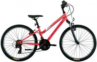 Peugeot JM248 24 Jant 21 Vites Pembe Dağ Bisikleti