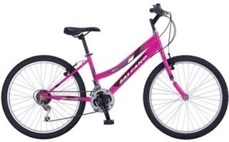 Salcano Excell 26 Jant 21 Vites Pembe Dağ Bisikleti