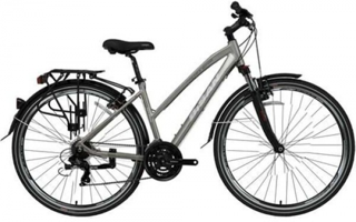 Bisan TRX 8200 City 28 Jant 21 Vites Gri Şehir / Tur Bisikleti