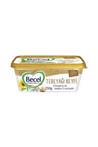 Becel Tereyağ Keyfi Margarin 250 gr