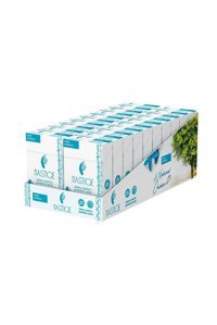 Mastiqe Naneli Damla Sakızlı Aromalı Sakız 20 Adet