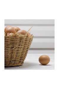 Mutlu Sebzeler Organik Tavuk Yumurtası 15'li