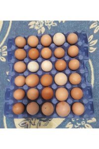 Köyceğiz Doğal Organik Tavuk Yumurtası 30'lu
