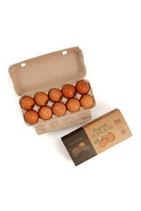 Gündoğdu Organik Tavuk Yumurtası 10'lu