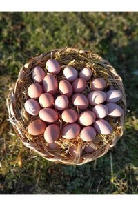 Little Sister's Farm Organik Gezen Tavuk Yumurtası 30'lu