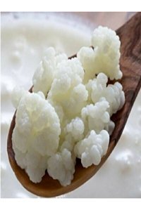Mis Baharat Yaş Kefir Mayası 20 ml