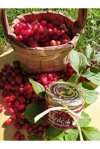 Kavanozum Kızılcık Marmelatı 400 gr