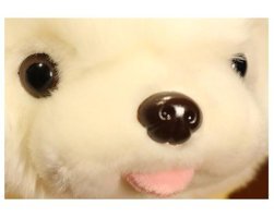 Alibee Xhang Sevimli Soyunma Yavru 25 cm Peluş Oyuncak